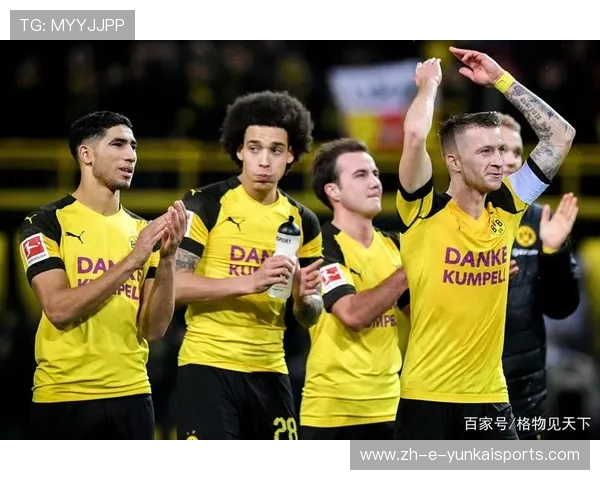 体育联赛人气排名（体育人气排行榜）sports